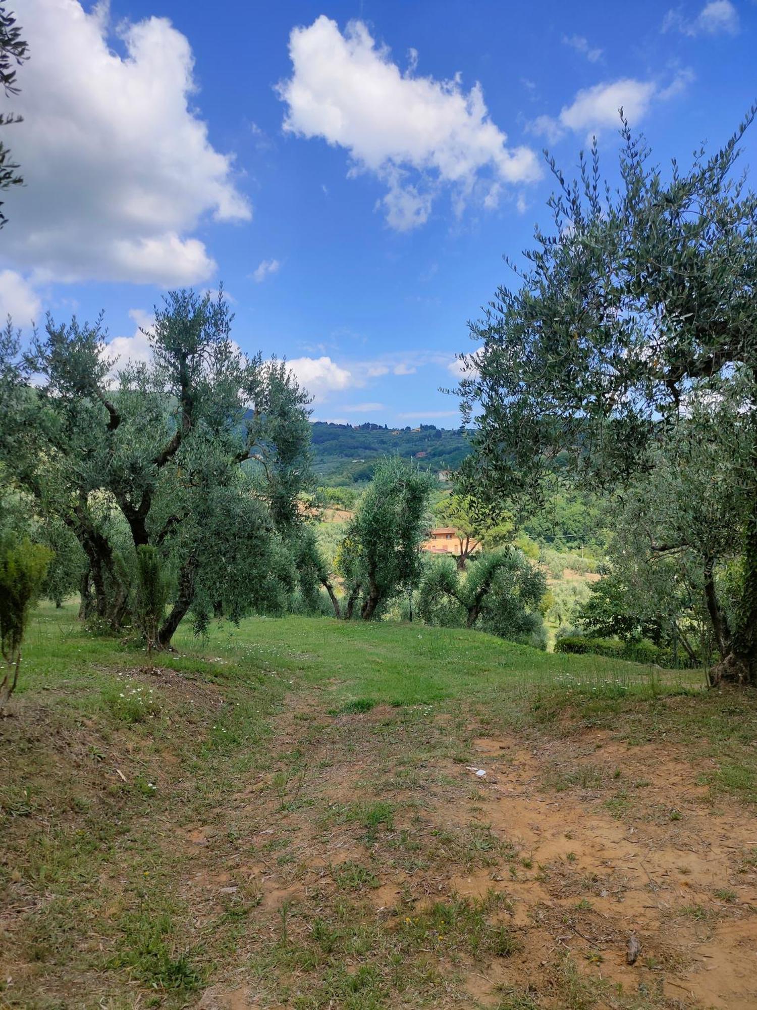 Bauernhof - Collina Toscana