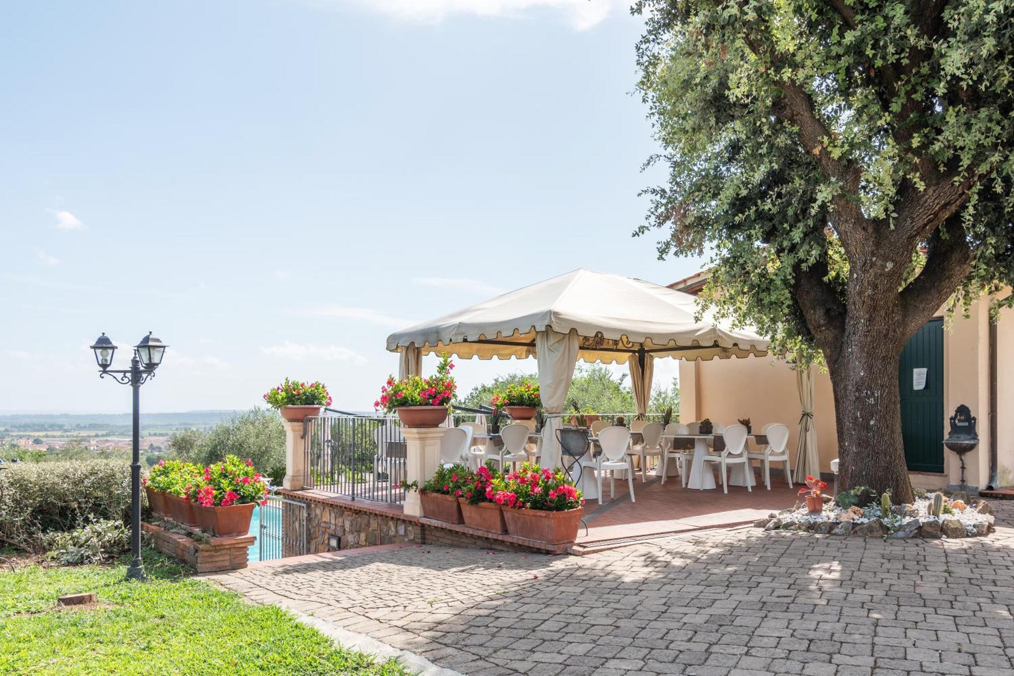 - Collina Toscana *