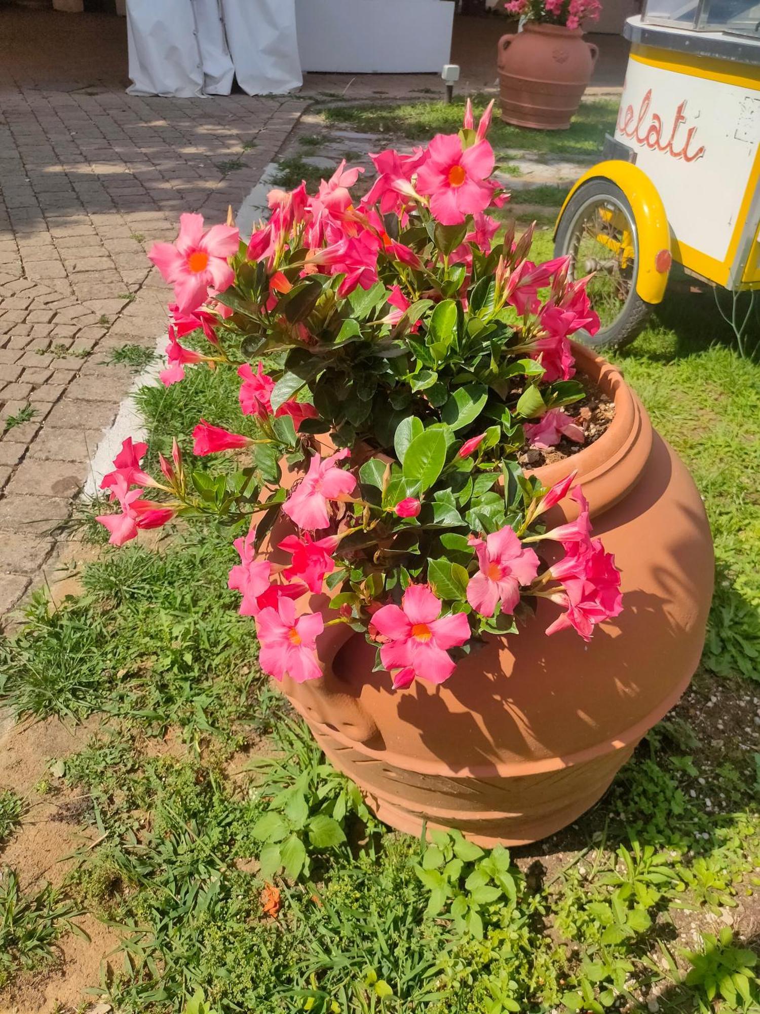 - Collina Toscana Monsummano Terme