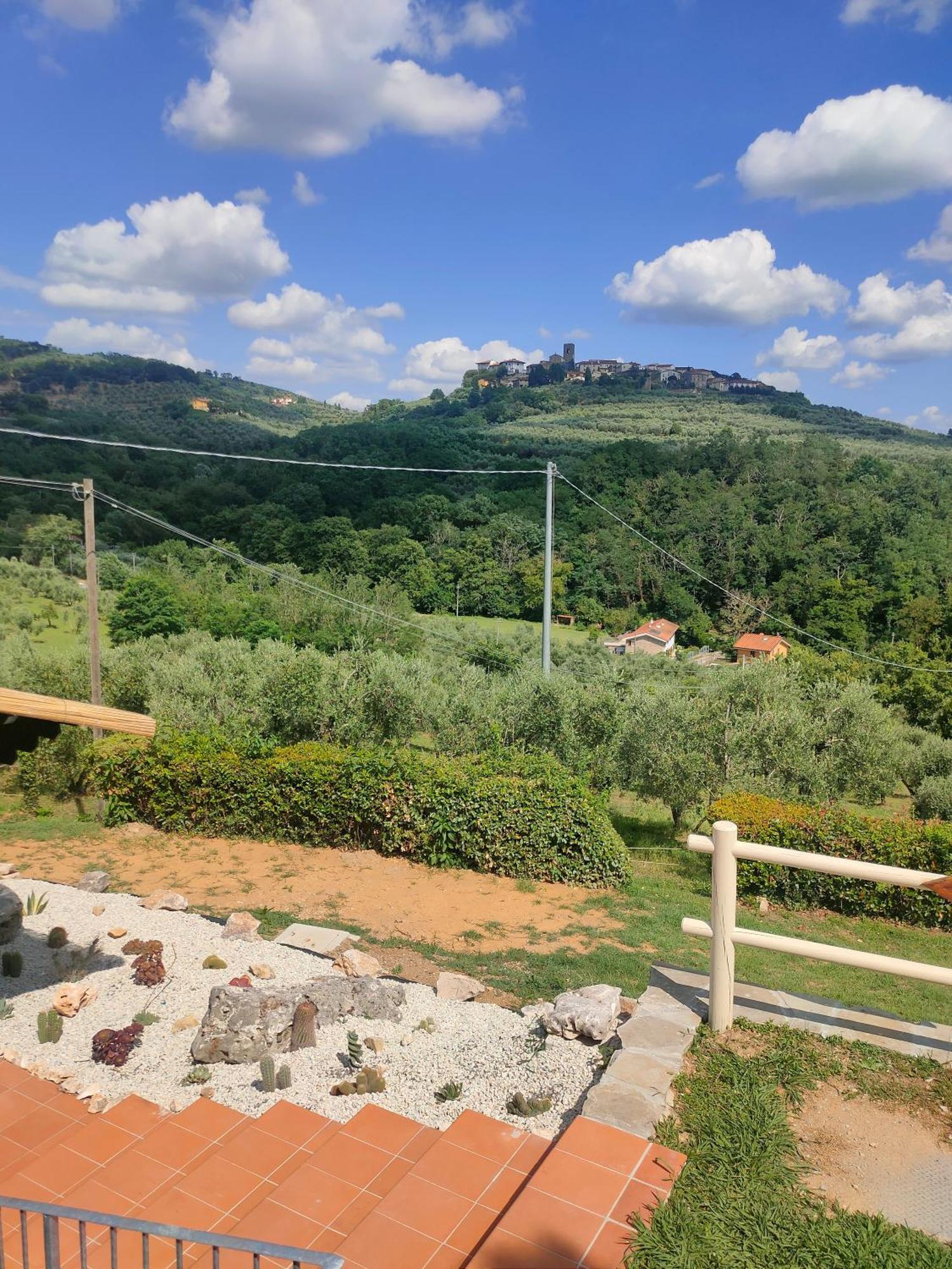 - Collina Toscana