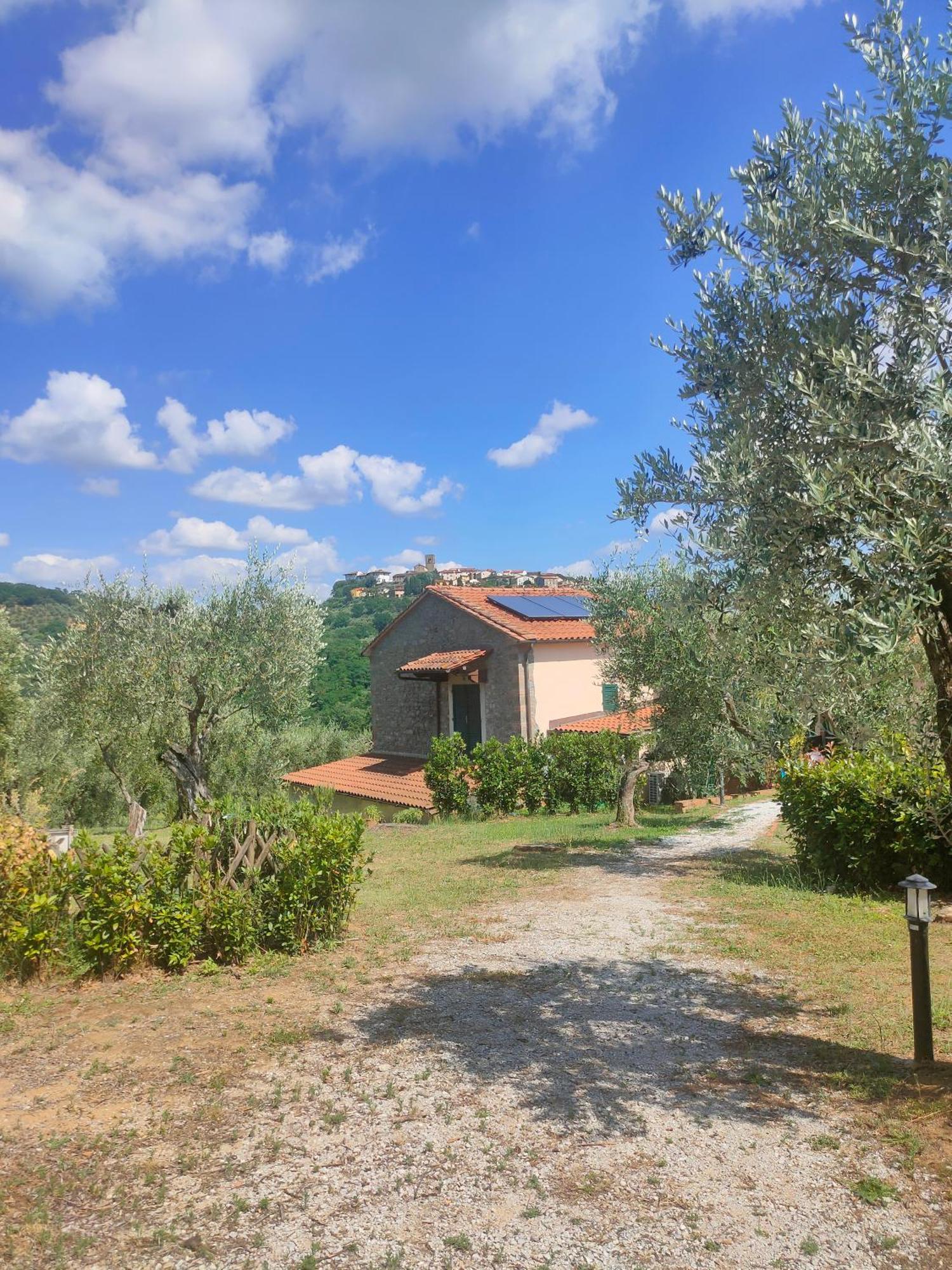 - Collina Toscana * Monsummano Terme