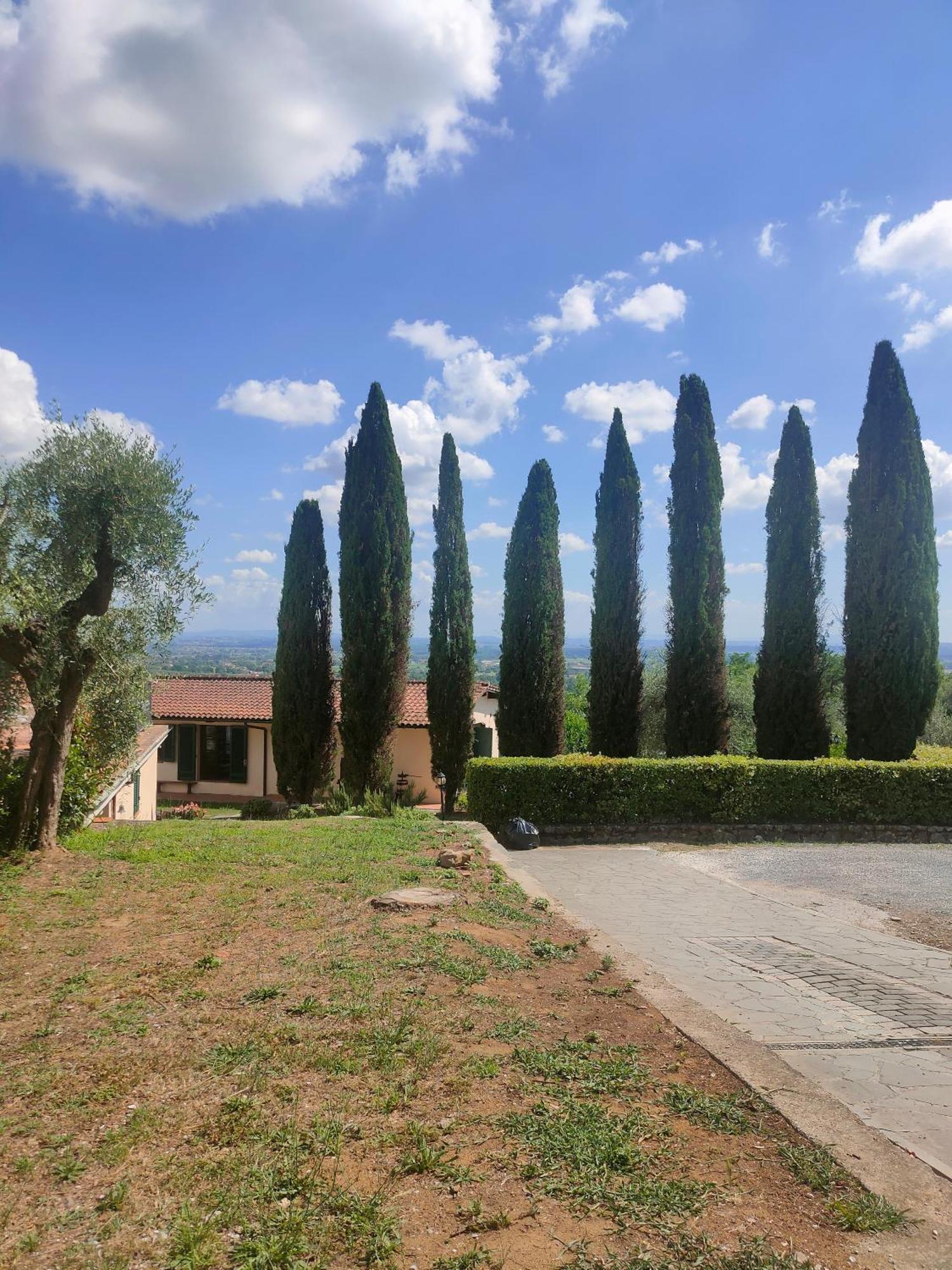 - Collina Toscana *