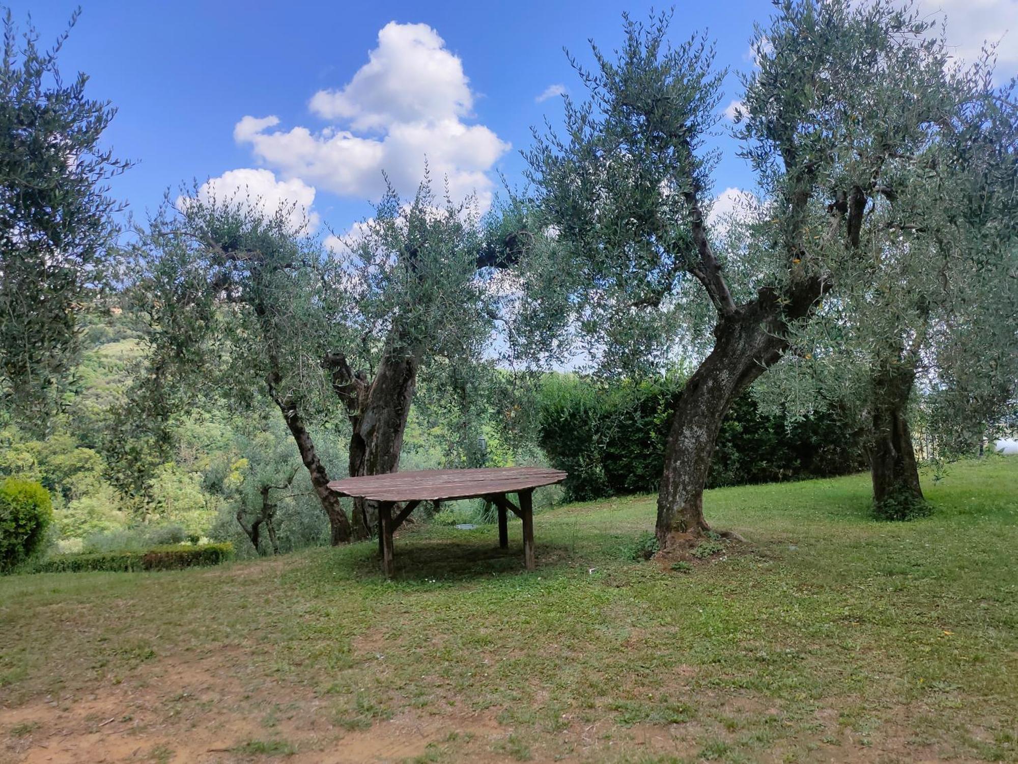 Bauernhof - Collina Toscana